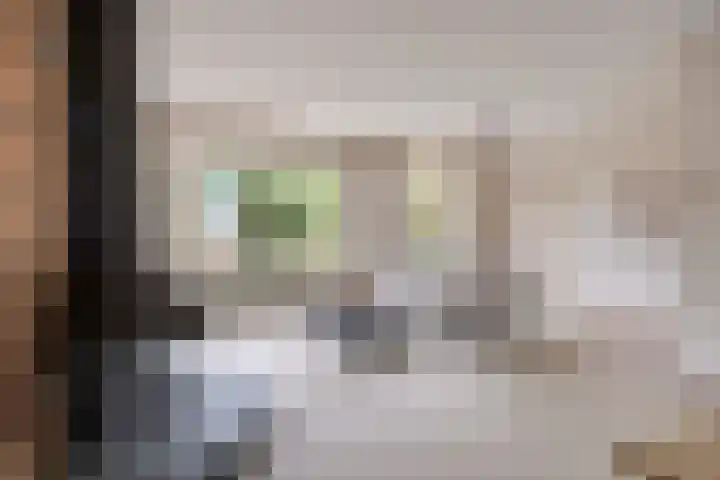 Groeneveld 28 Eindhoven thumbnail 9