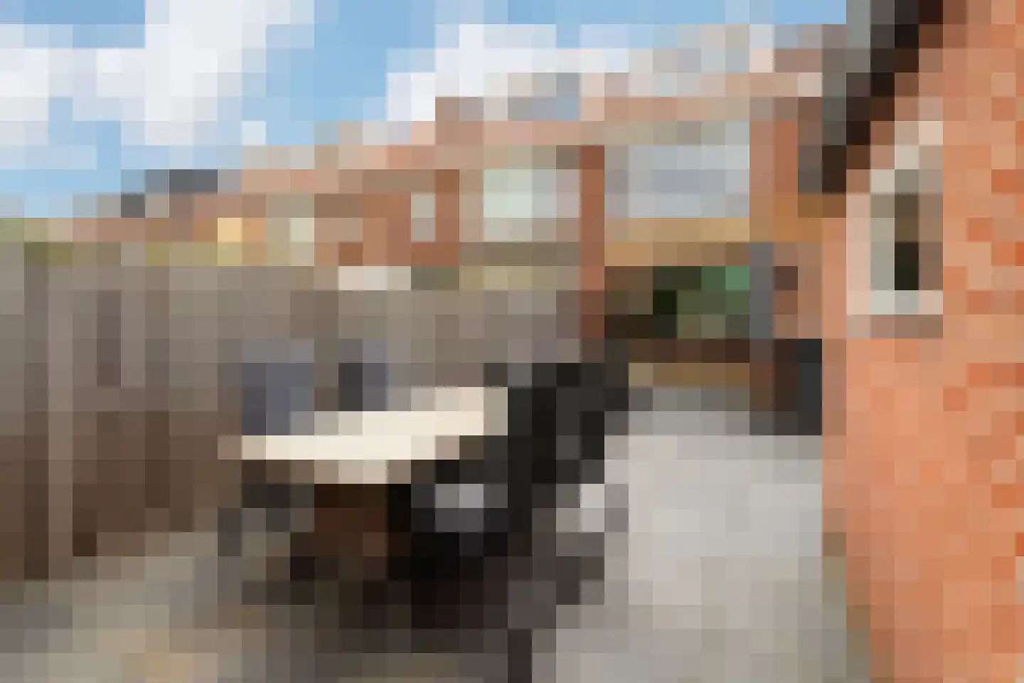 Groeneveld 3 Noordwijk thumbnail 13