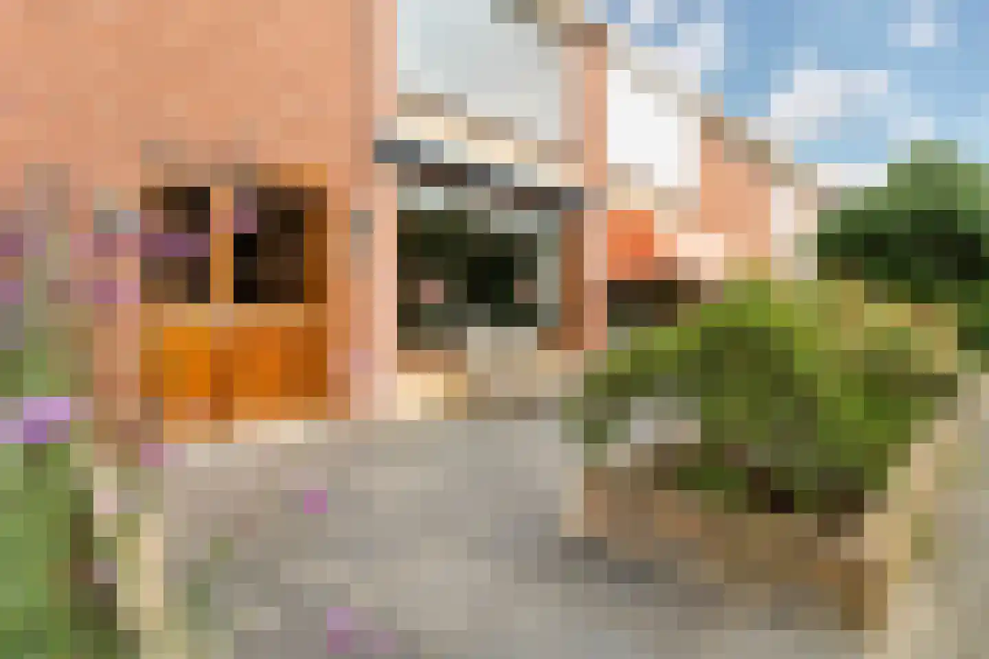 Groeneveld 3 Noordwijk thumbnail 39