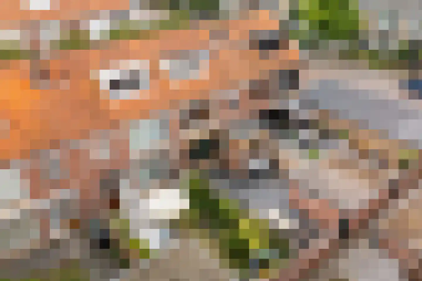 Groeneveld 3 Noordwijk thumbnail 42