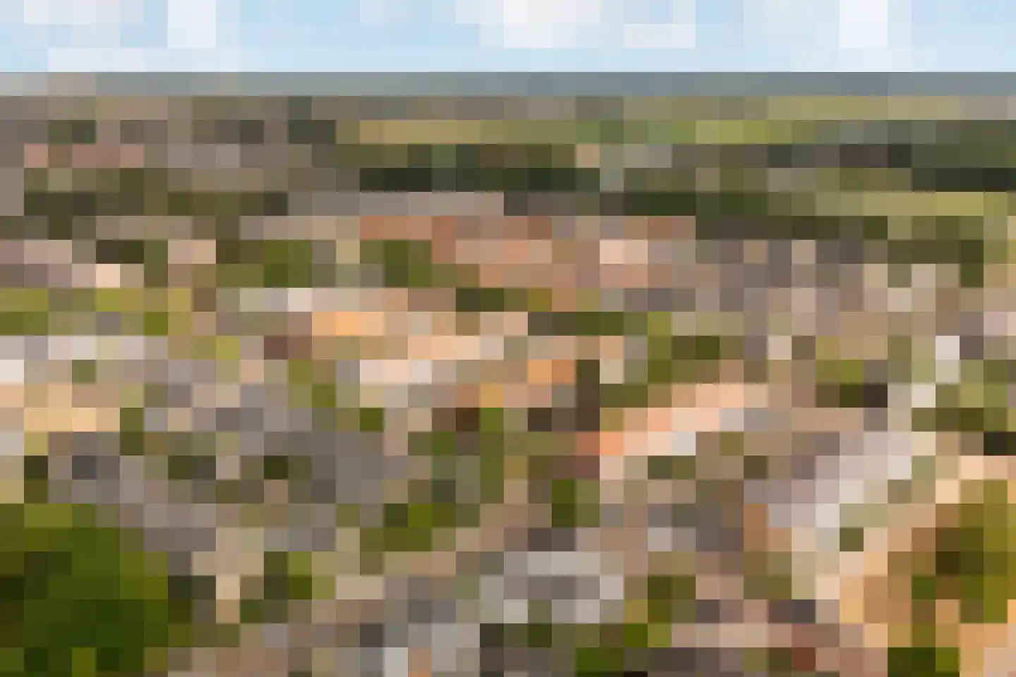Groeneveld 3 Noordwijk thumbnail 45