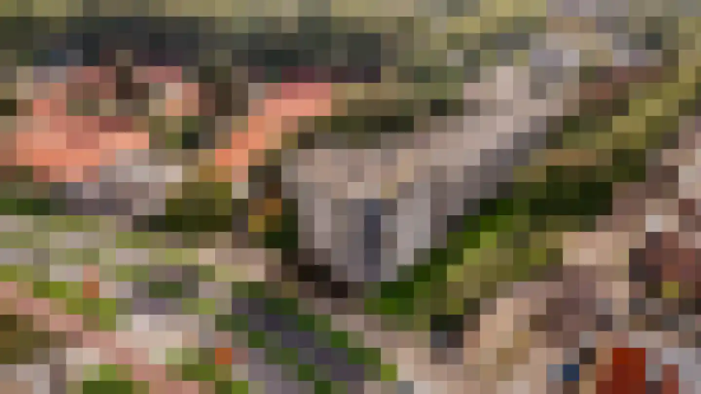 Groeneveld 42 Huizen thumbnail 33