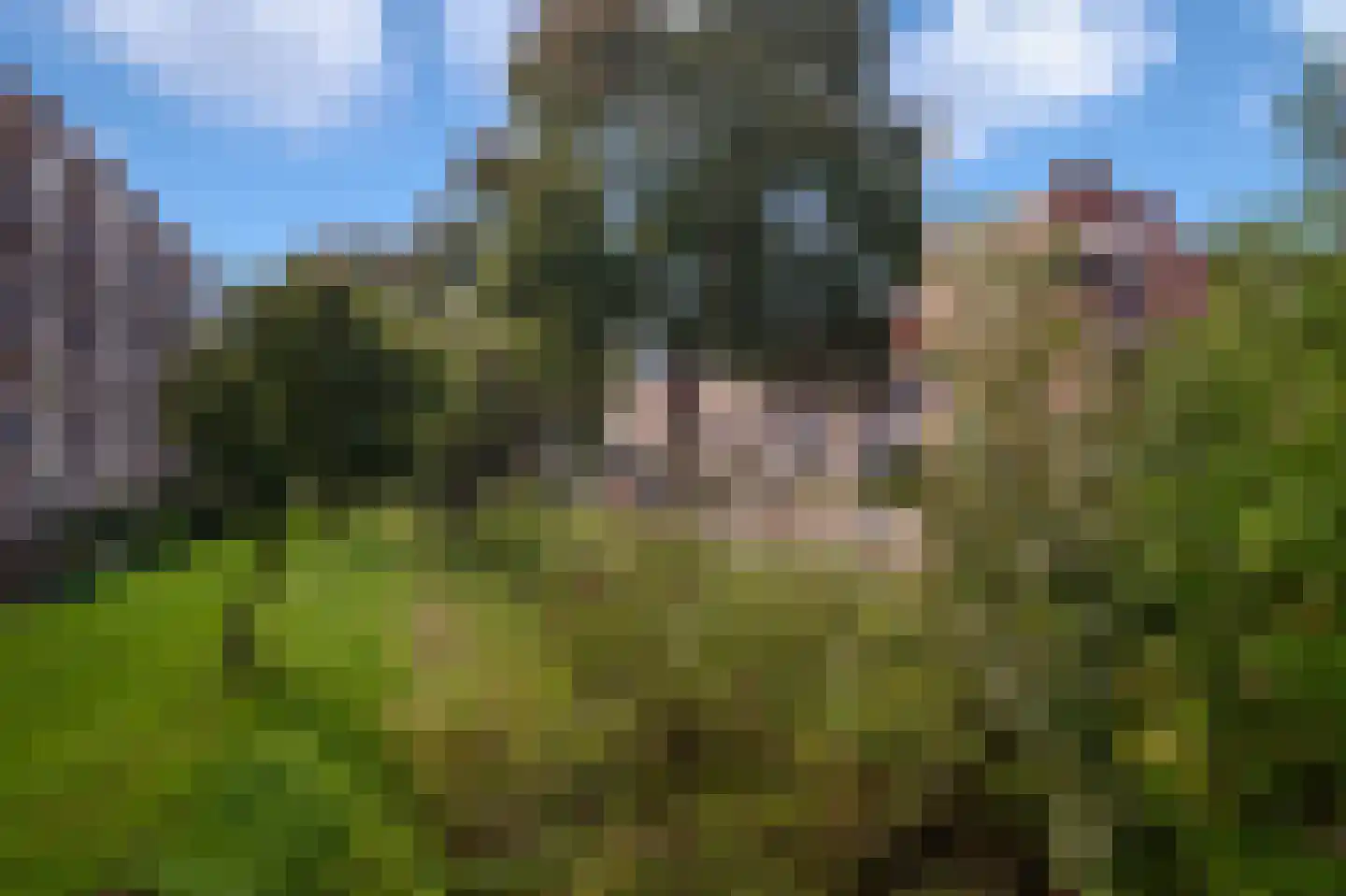Groeneveld 42 Huizen thumbnail 42