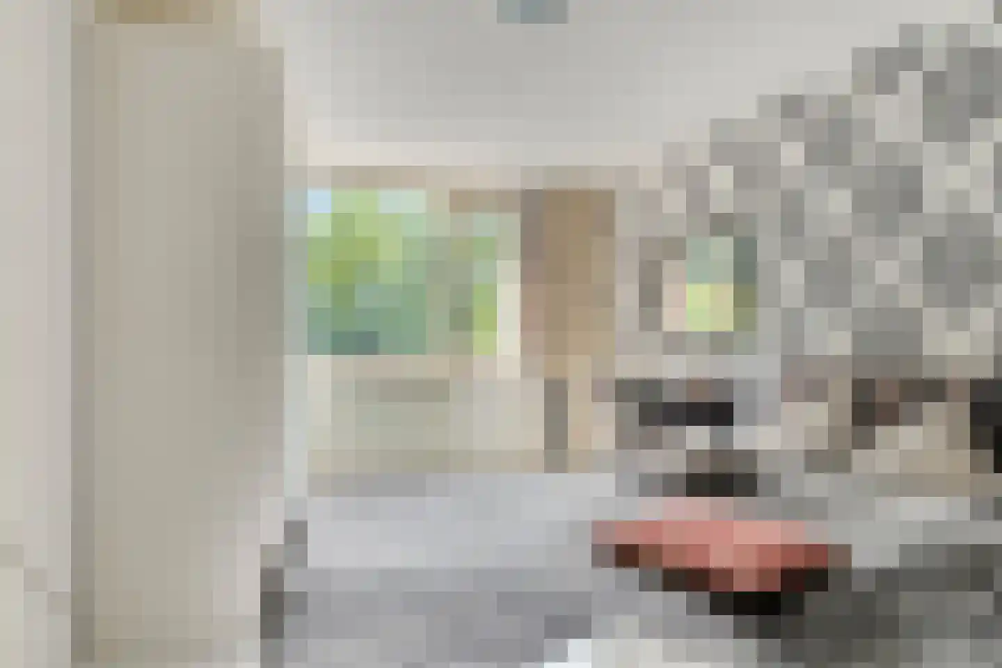 Groeneveld 8 Eindhoven thumbnail 14