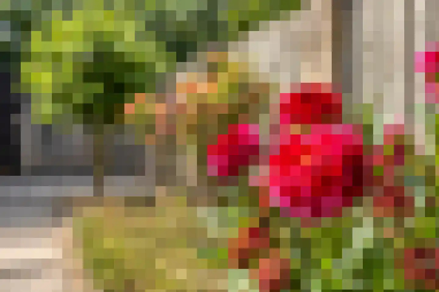 Groeneveld 8 Eindhoven thumbnail 26