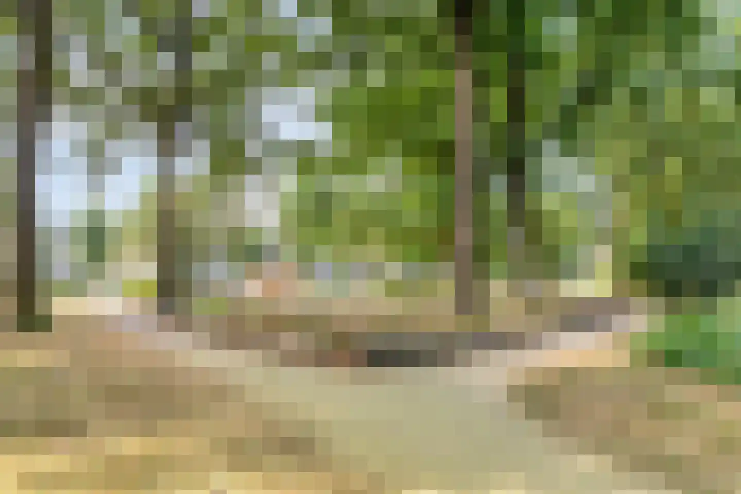 Groeneveld 8 Eindhoven thumbnail 32