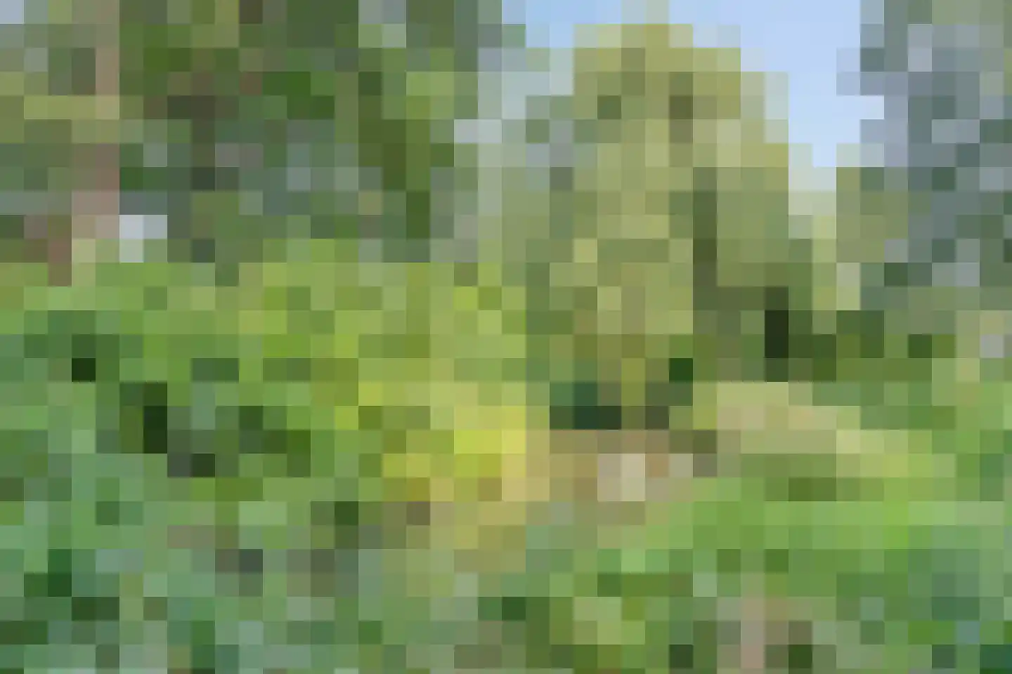 Groeneveld 8 Eindhoven thumbnail 33