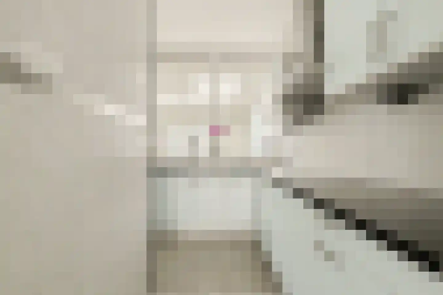 Groeneveldstraat 21 Monster thumbnail 13