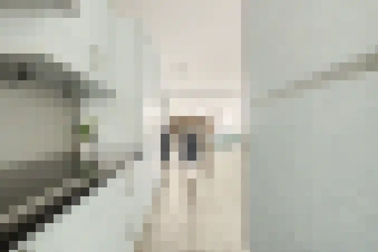 Groeneveldstraat 21 Monster thumbnail 16
