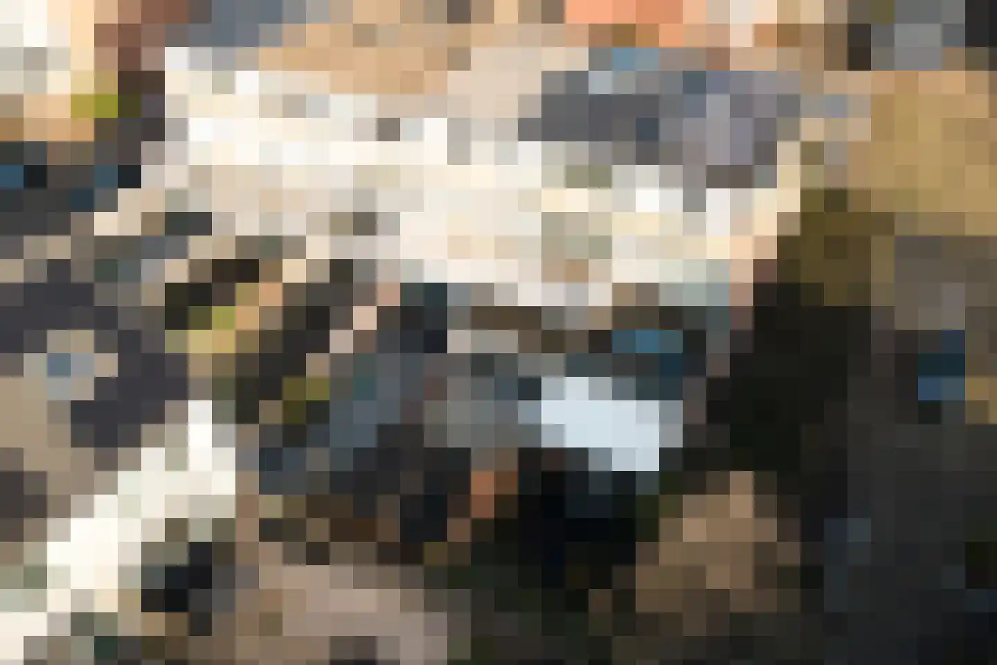Groeneveldstraat 21 Monster thumbnail 36