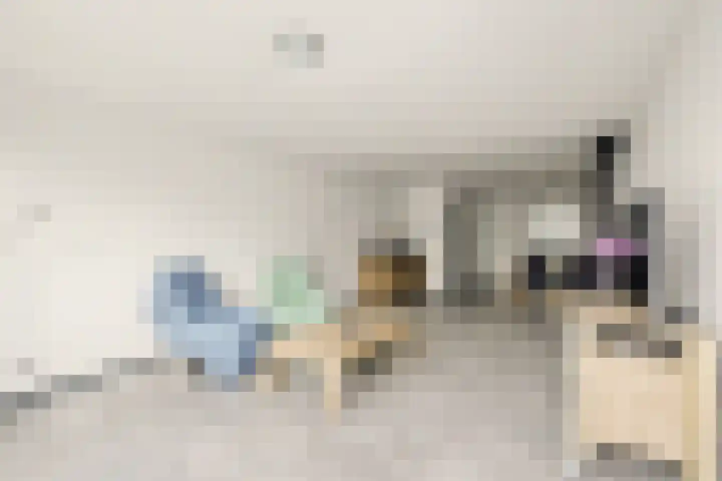 Groeneveldstraat 21 Monster thumbnail 9