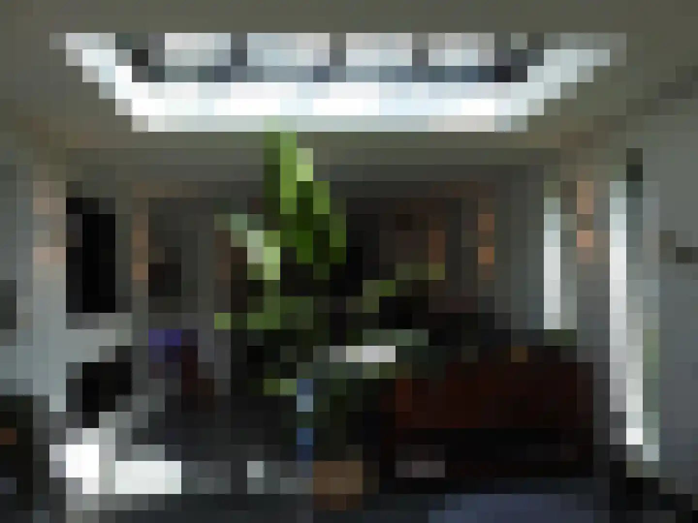 Groeneveldstraat 23 Monster thumbnail 15