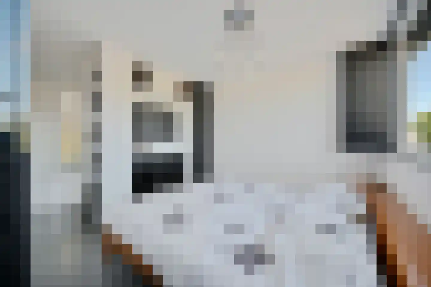 Groeneveldstraat 23 Monster thumbnail 23