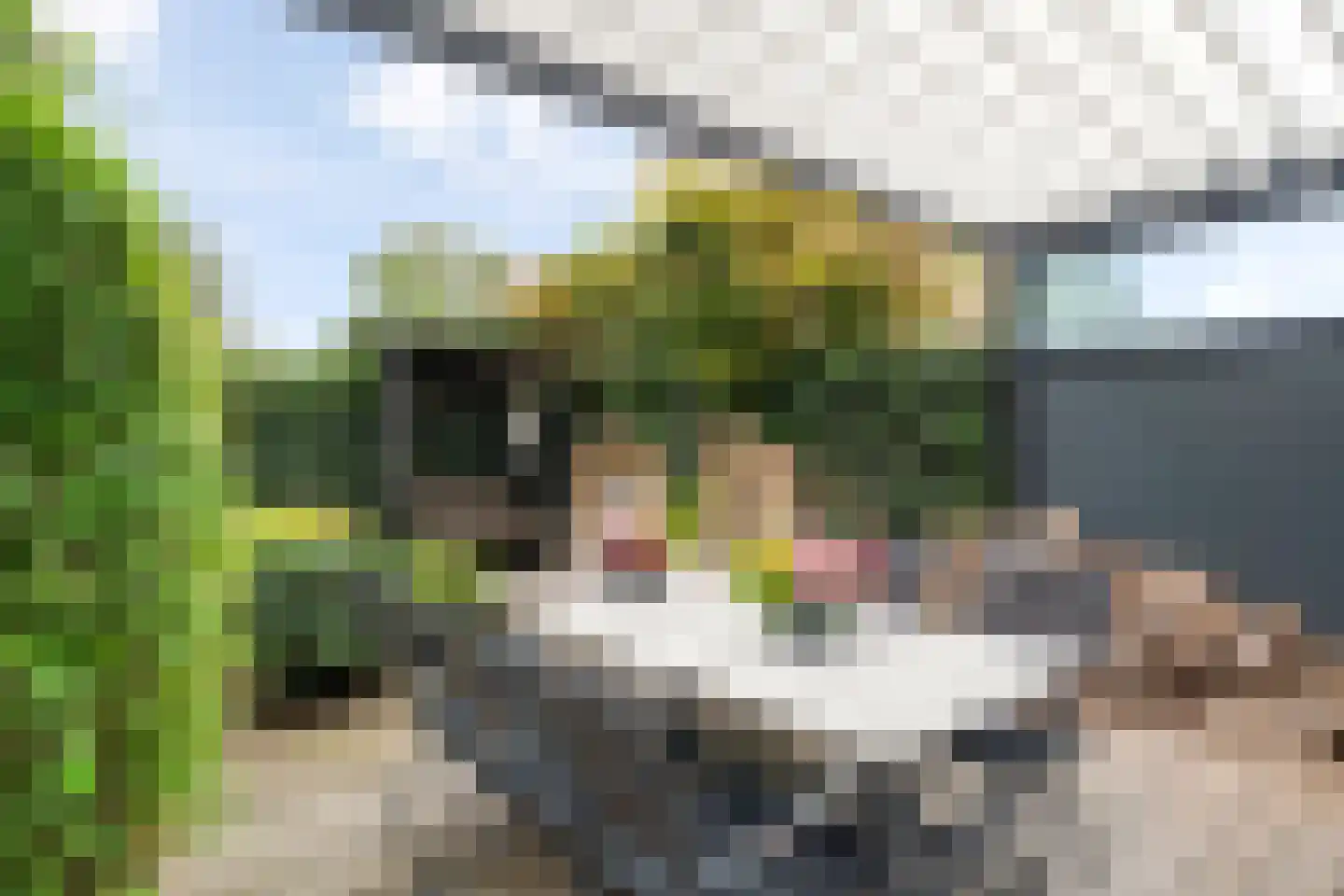 Groeneveldstraat 23 Monster thumbnail 31