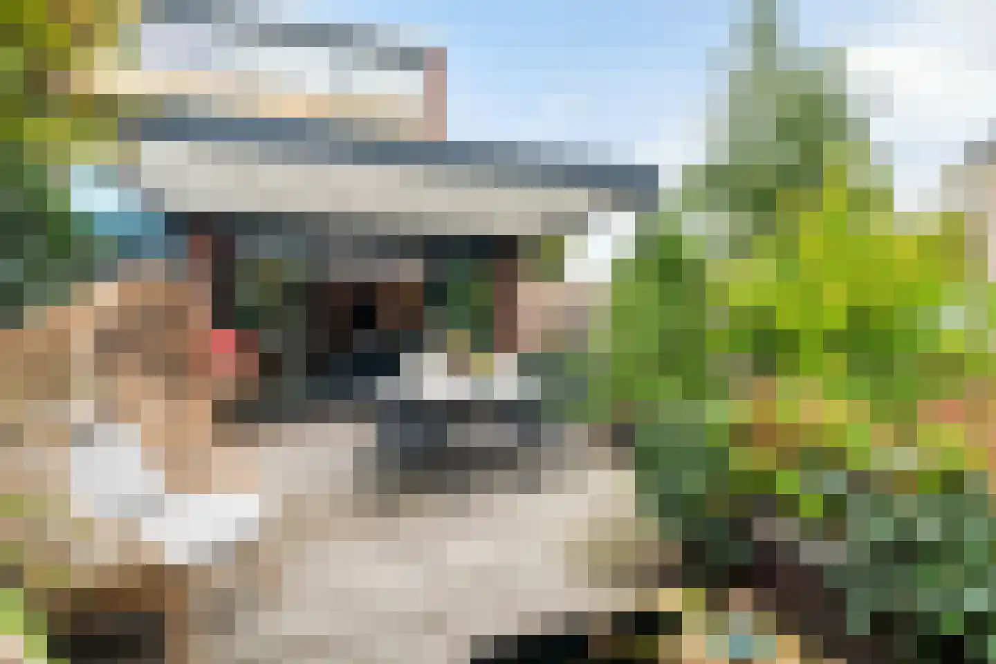 Groeneveldstraat 23 Monster thumbnail 32