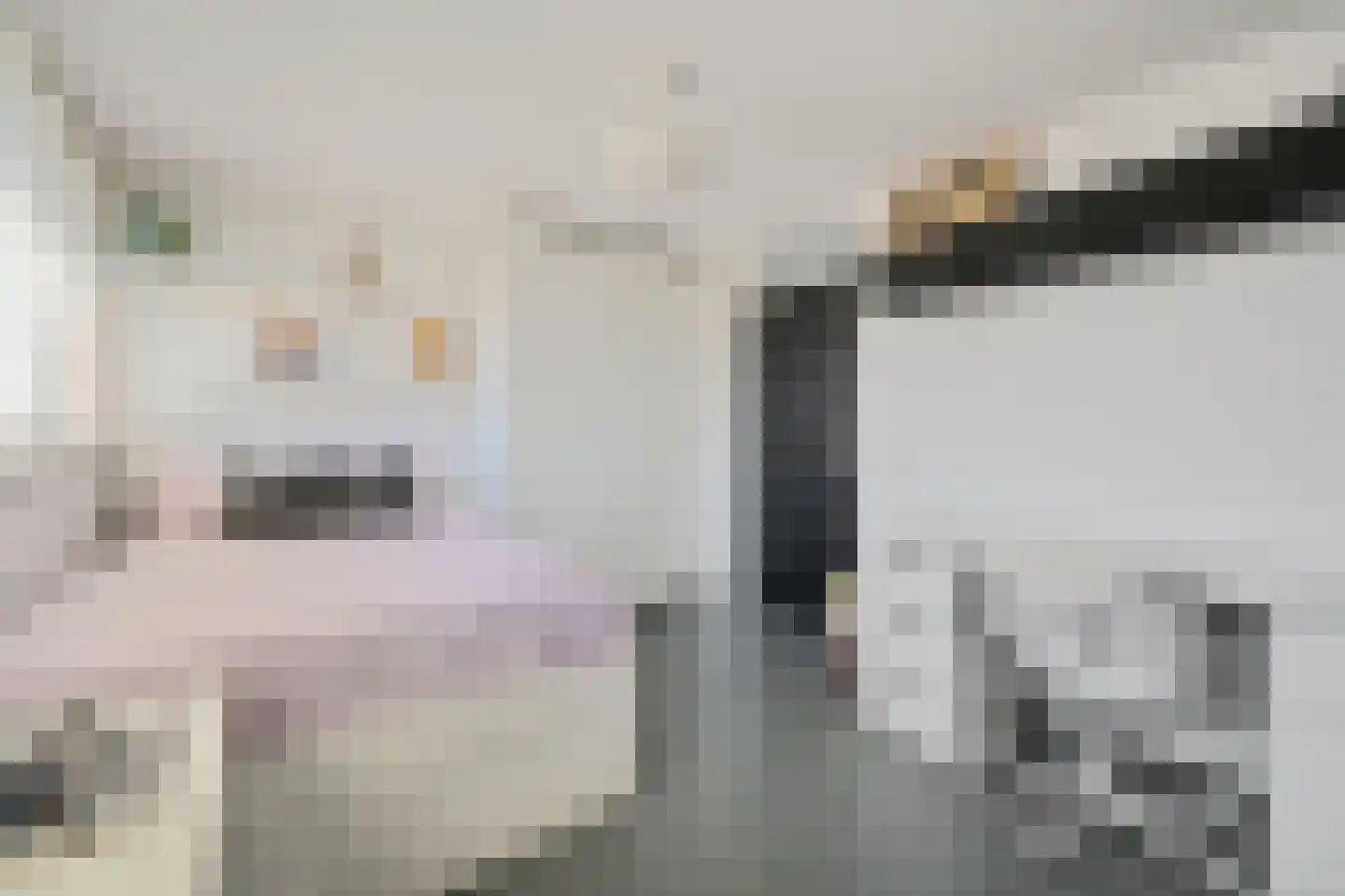 Groeneveldstraat 23 Monster thumbnail 32