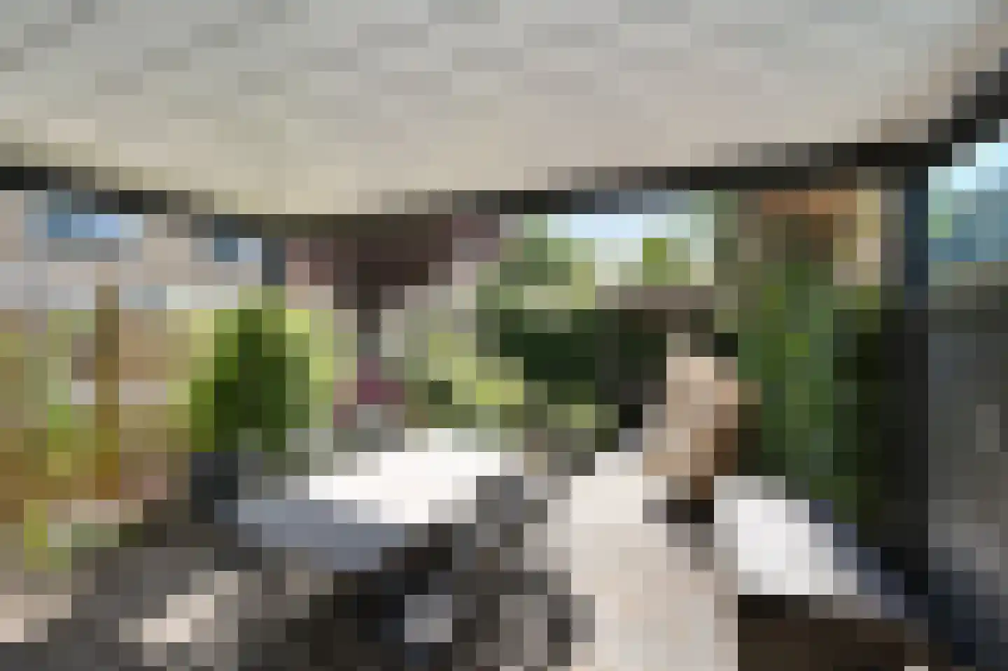 Groeneveldstraat 23 Monster thumbnail 38
