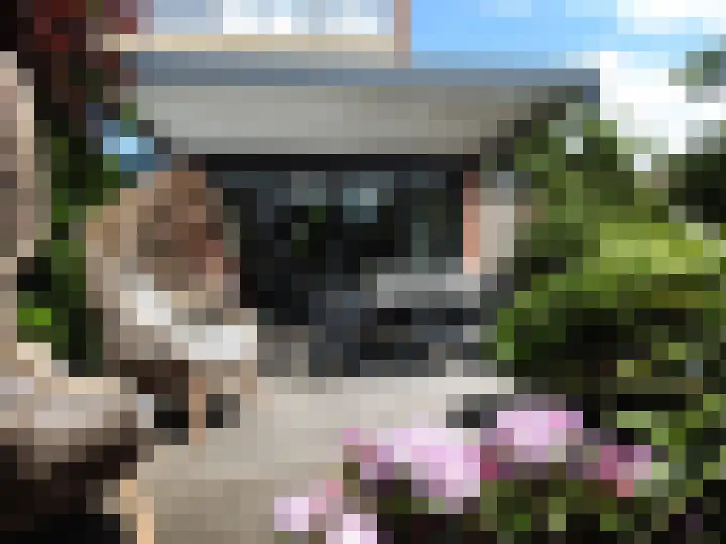 Groeneveldstraat 23 Monster thumbnail 39