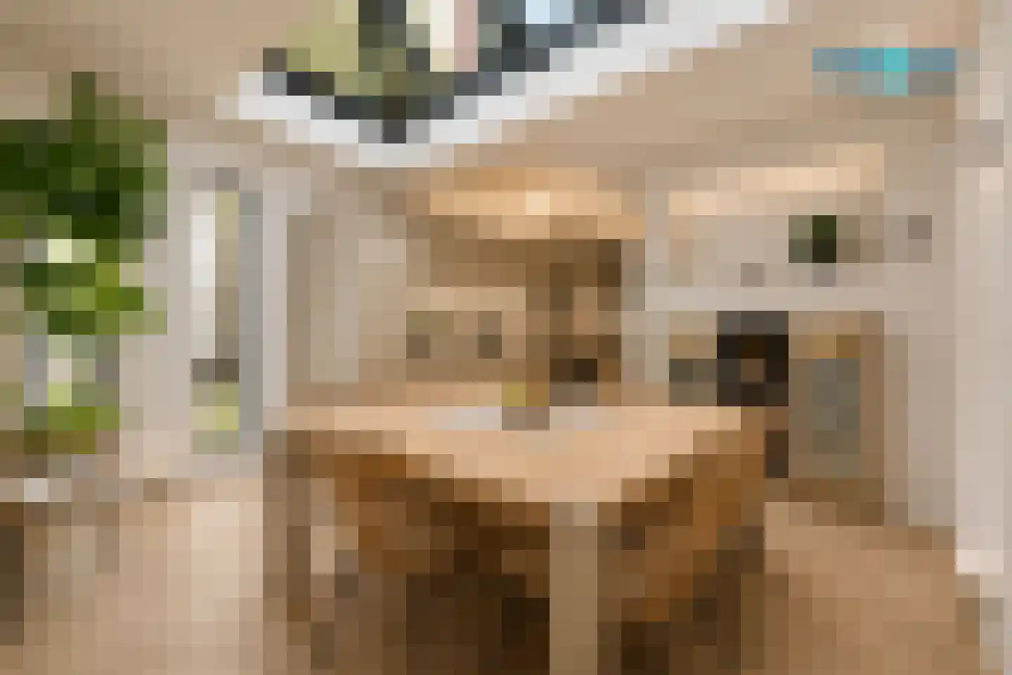 Groeneveldstraat 23 Monster thumbnail 4