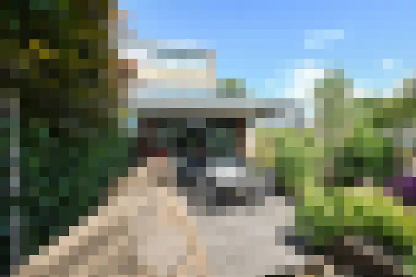 Groeneveldstraat 23 Monster thumbnail 40