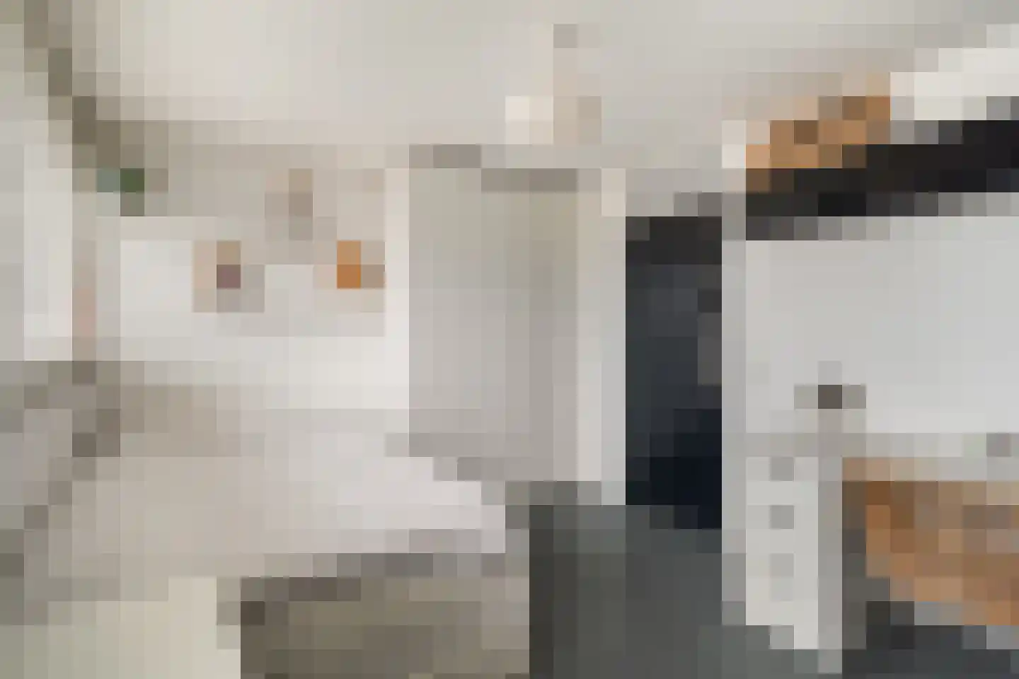 Groeneveldstraat 23 Monster thumbnail 57