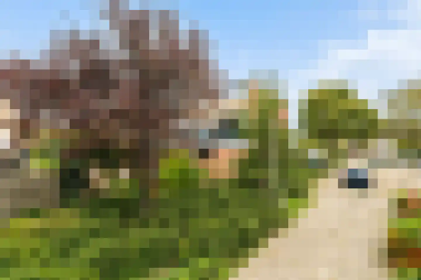 Groeneveldstraat 23 Monster thumbnail 7