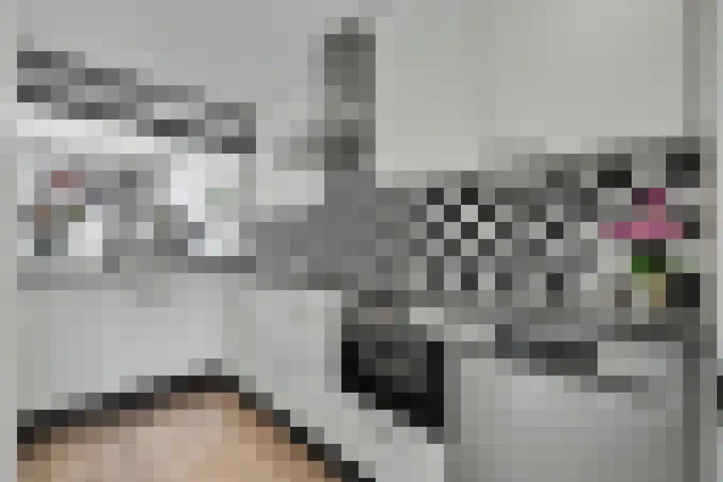 Groeneveldstraat 29 Monster thumbnail 10