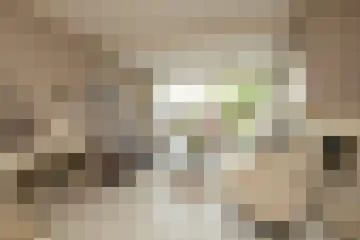 Groeneveldstraat 30 Monster thumbnail 10