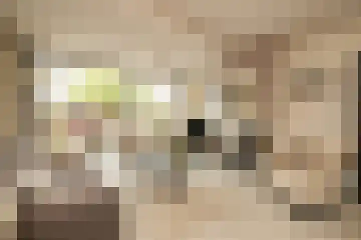 Groeneveldstraat 30 Monster thumbnail 11