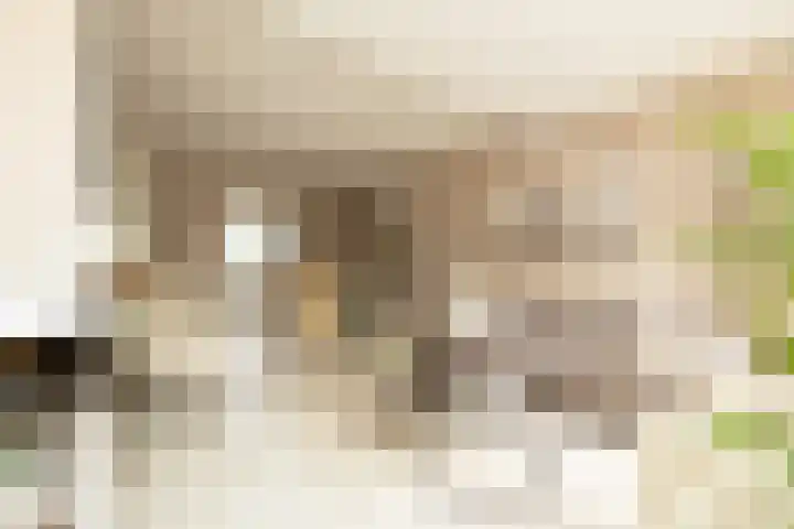 Groeneveldstraat 30 Monster thumbnail 12