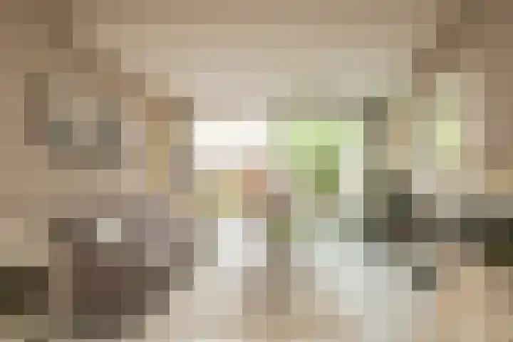 Groeneveldstraat 30 Monster thumbnail 13
