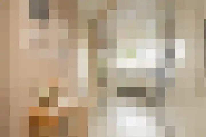 Groeneveldstraat 30 Monster thumbnail 15