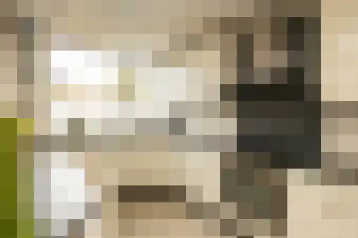 Groeneveldstraat 30 Monster thumbnail 16