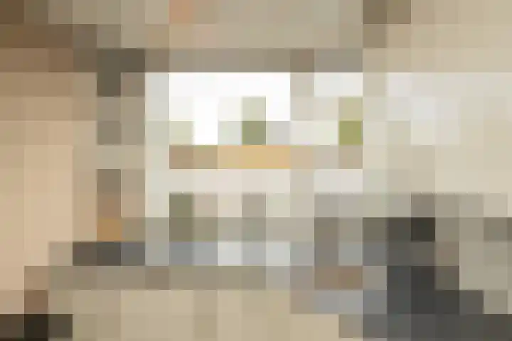 Groeneveldstraat 30 Monster thumbnail 17