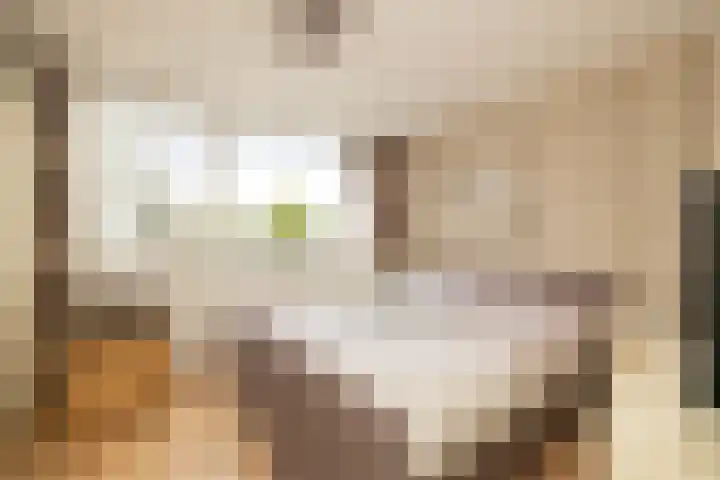 Groeneveldstraat 30 Monster thumbnail 19