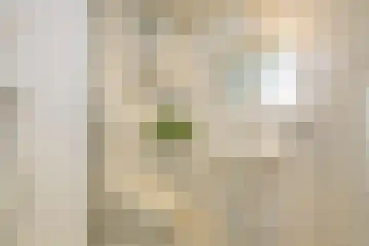 Groeneveldstraat 30 Monster thumbnail 24