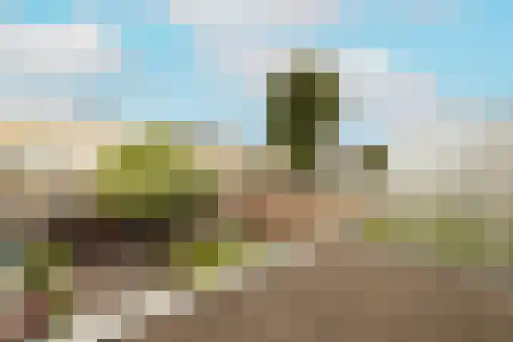 Groeneveldstraat 30 Monster thumbnail 27