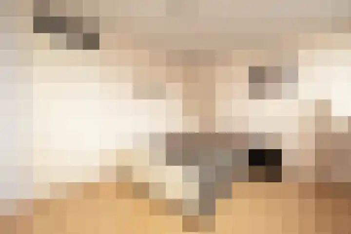 Groeneveldstraat 30 Monster thumbnail 31