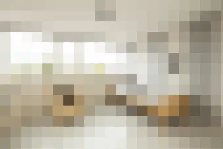 Groeneveldstraat 30 Monster thumbnail 33