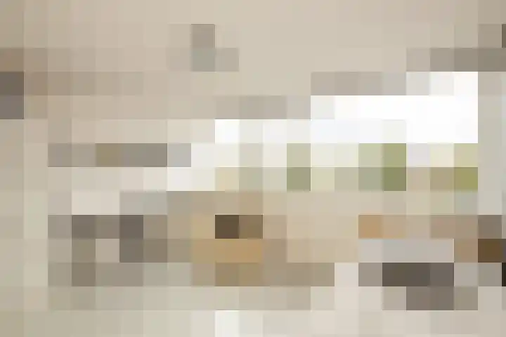 Groeneveldstraat 30 Monster thumbnail 34