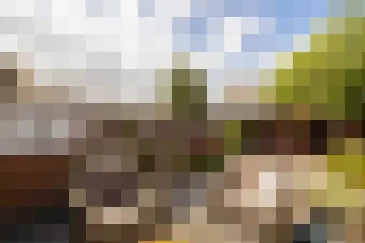 Groeneveldstraat 30 Monster thumbnail 37