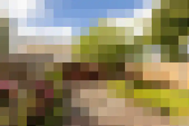 Groeneveldstraat 30 Monster thumbnail 38
