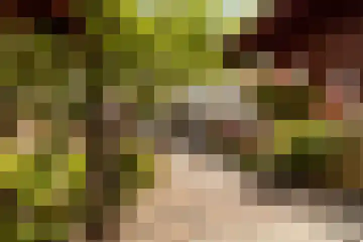 Groeneveldstraat 30 Monster thumbnail 40