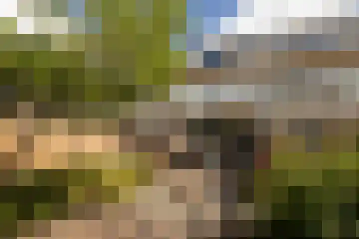 Groeneveldstraat 30 Monster thumbnail 41