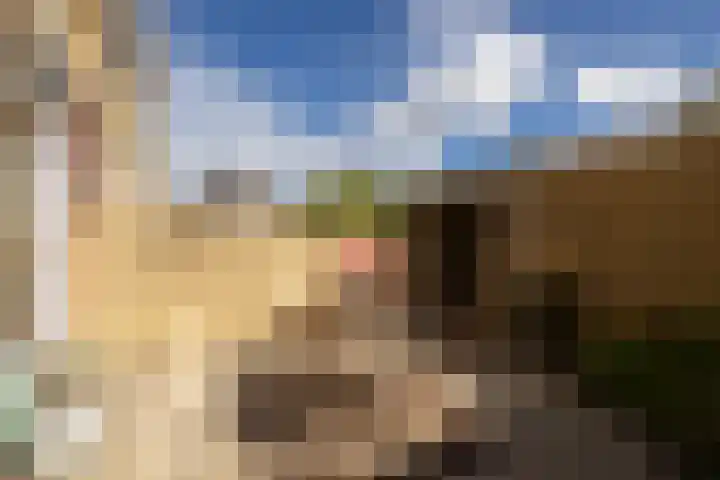 Groeneveldstraat 30 Monster thumbnail 42