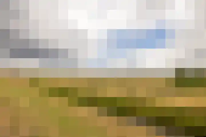 Groeneveldstraat 30 Monster thumbnail 48