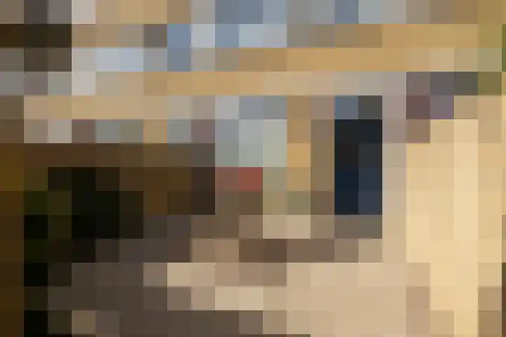 Groeneveldstraat 30 Monster thumbnail 6