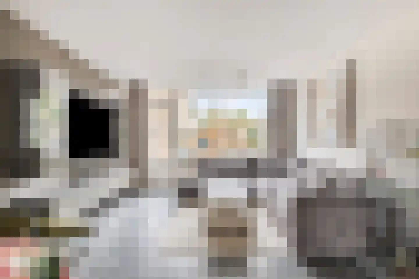 Groeneveldstraat 33 Monster thumbnail 11