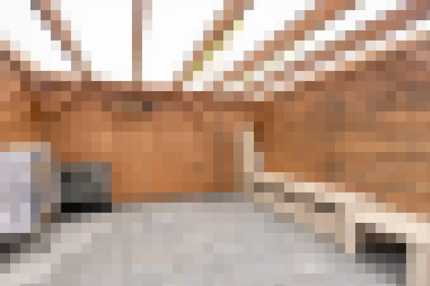 Groeneveldstraat 33 Monster thumbnail 27