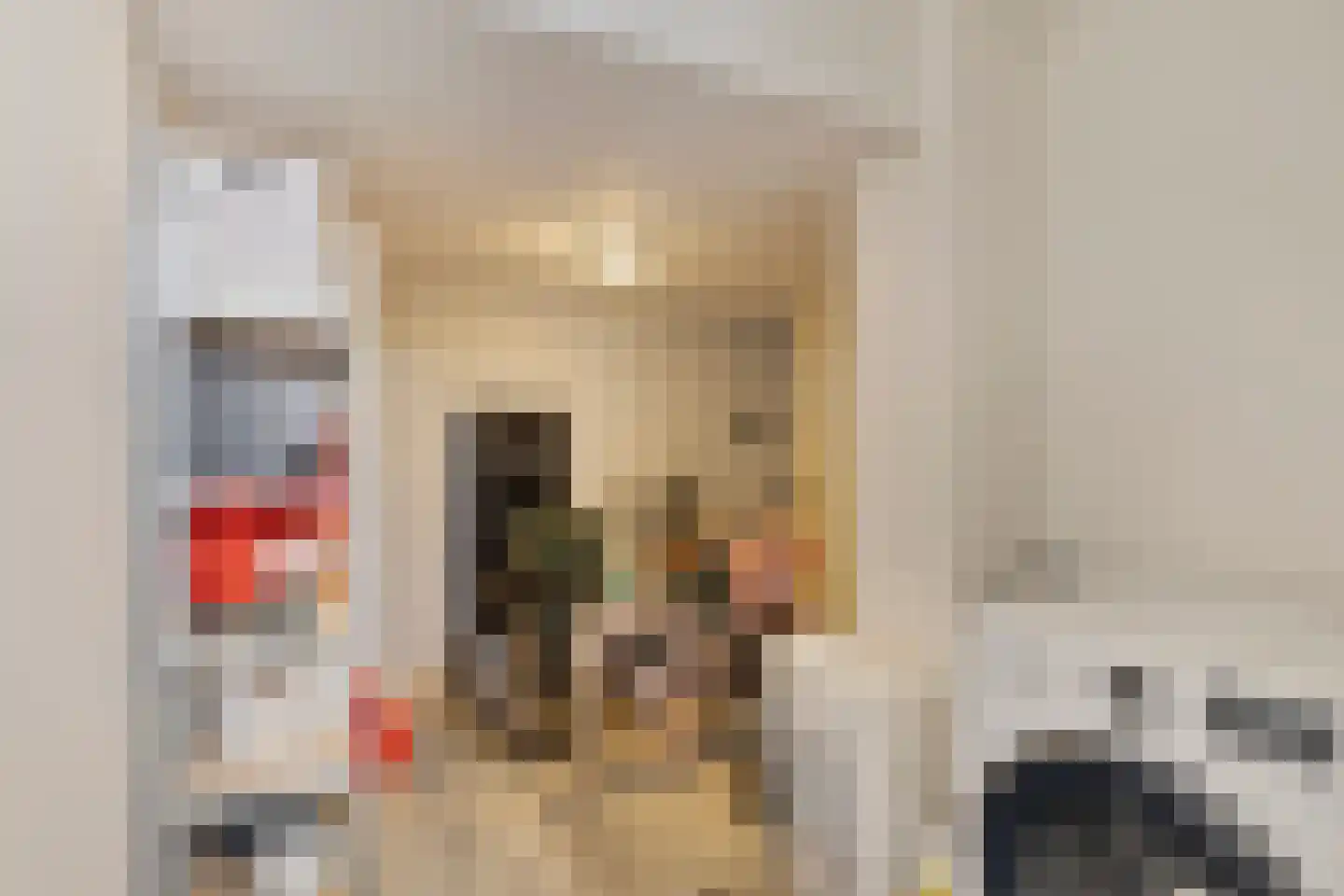 Groeneveldstraat 33 Monster thumbnail 29